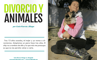 La custodia compartida de un animal no humano