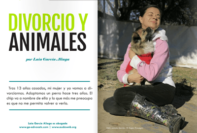 La custodia compartida de un animal no humano