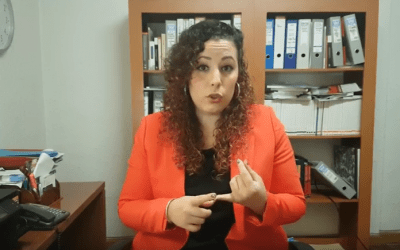 Consejos jurídicos sobre colonias felinas