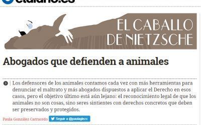 Abogados que defienden a animales