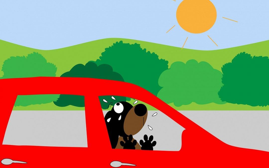 10 consejos legales por si te encuentras a un perro encerrado en un coche este verano