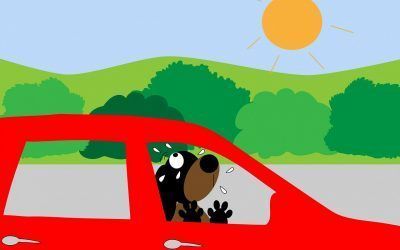 10 consejos legales por si te encuentras a un perro encerrado en un coche este verano