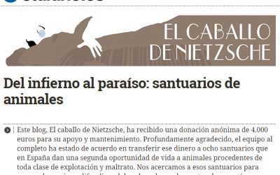 Del infierno al paraíso: santuarios de animales
