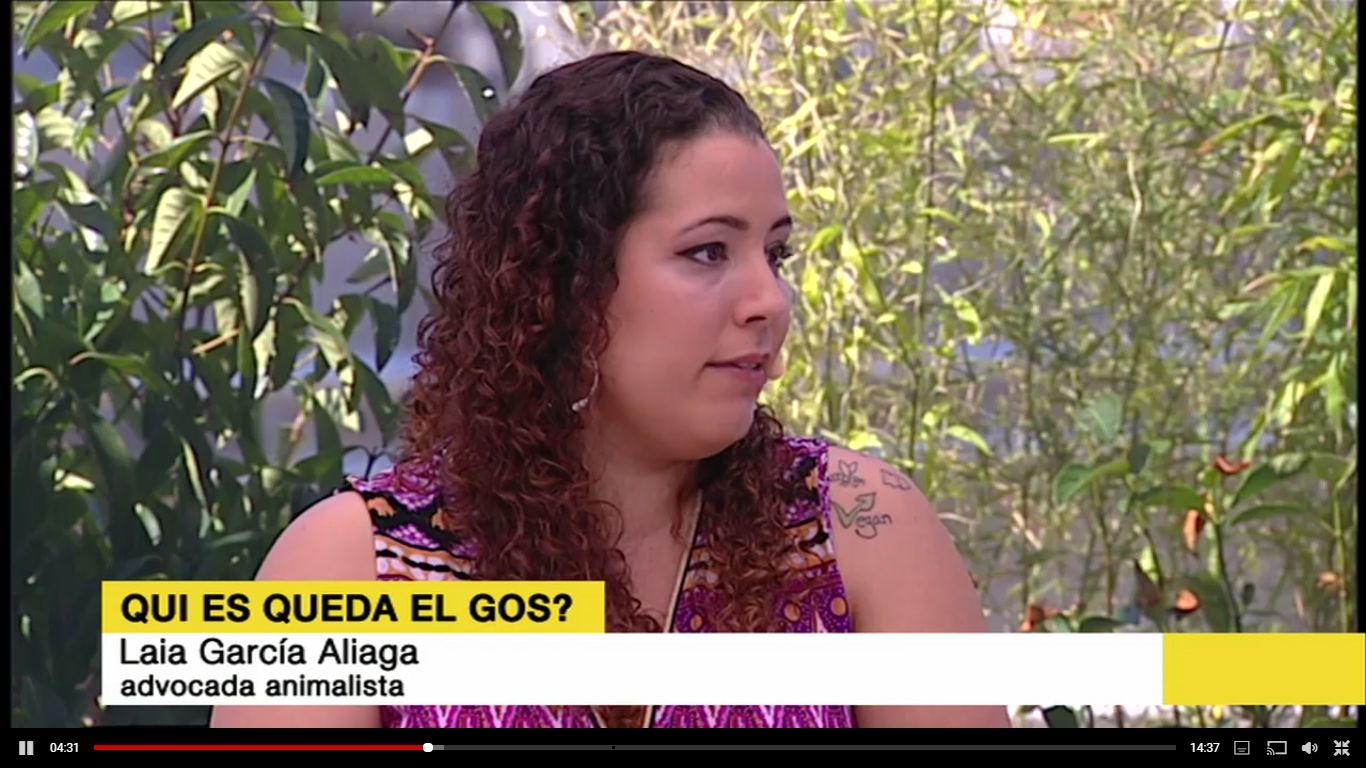 laia tv3