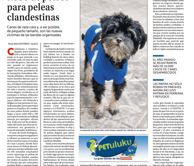 El robo de perros para peleas clandestinas – La Razón