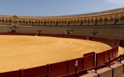 Cirujano taurino que no será compensado